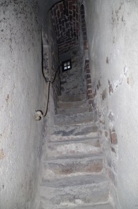 IMGP6271
